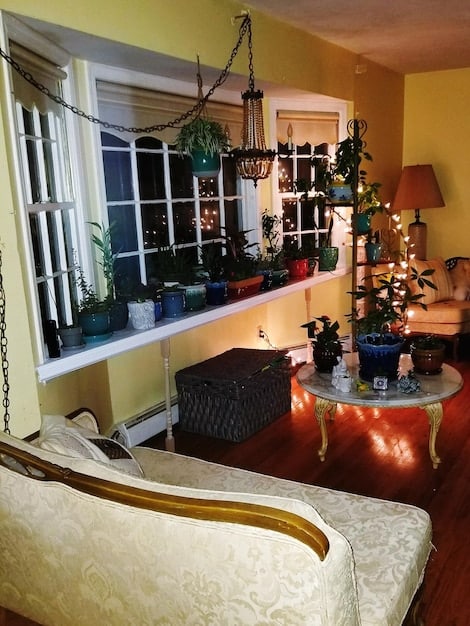Interior of a well-decorated and furnished living room in a rental property, with warm lighting and a cozy atmosphere, suggesting the appeal to potential tenants and the value of property upgrades.