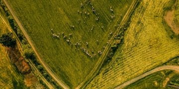 Passive Income Blueprint: Invest in Farmland for Consistent Returns in 2025 - Cover Image