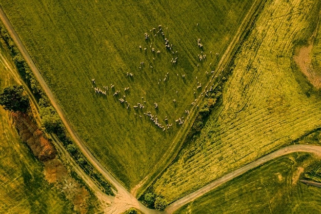 Passive Income Blueprint: Invest in Farmland for Consistent Returns in 2025