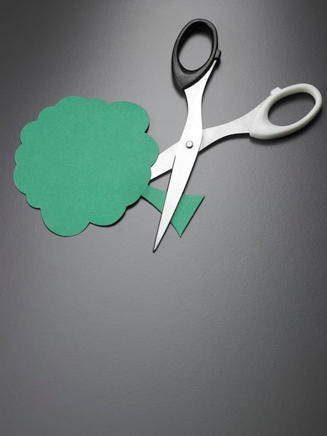 A visual representation of cost-cutting strategies for freelancers, showing a pair of scissors cutting through various expenses like office rent, software subscriptions, and travel costs. The image symbolizes financial prudence and efficient resource management.