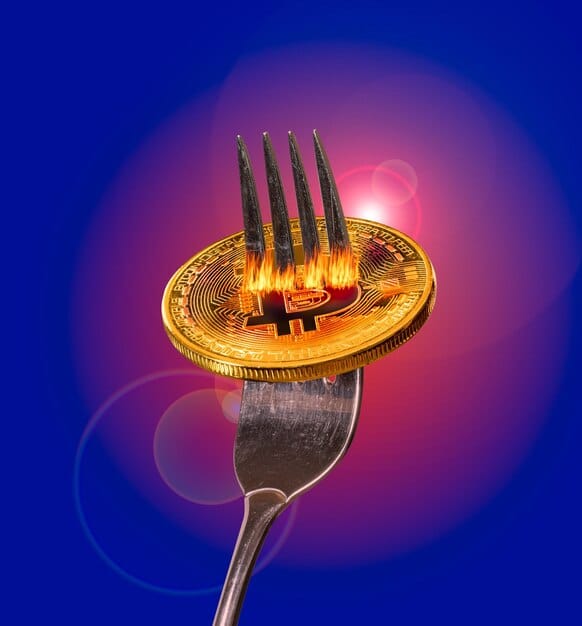 Understanding Crypto Forks: What Happens to Your Coins When a Blockchain Splits?